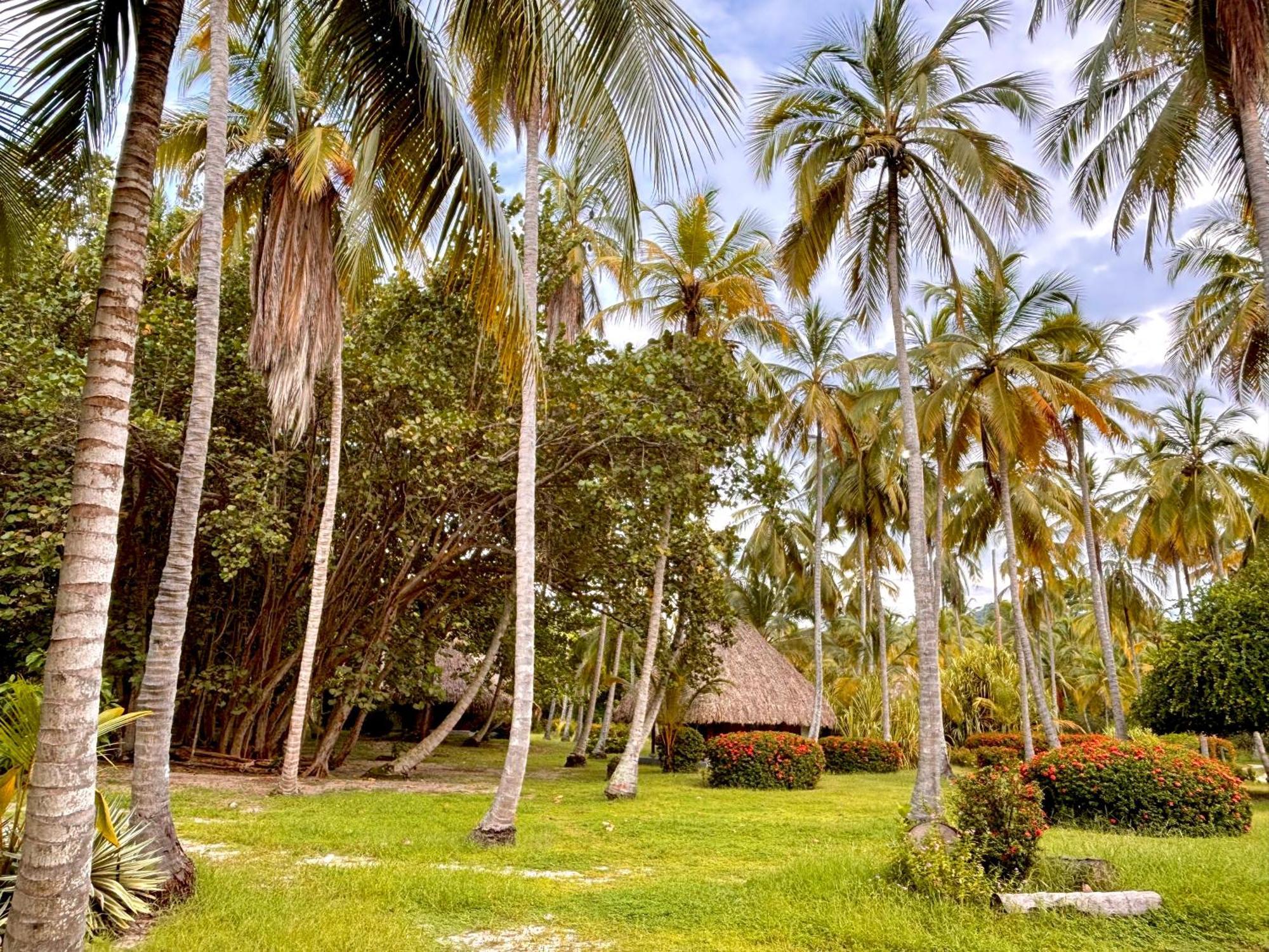 Hotel Playa Bonita Tayrona Буритака Екстериор снимка