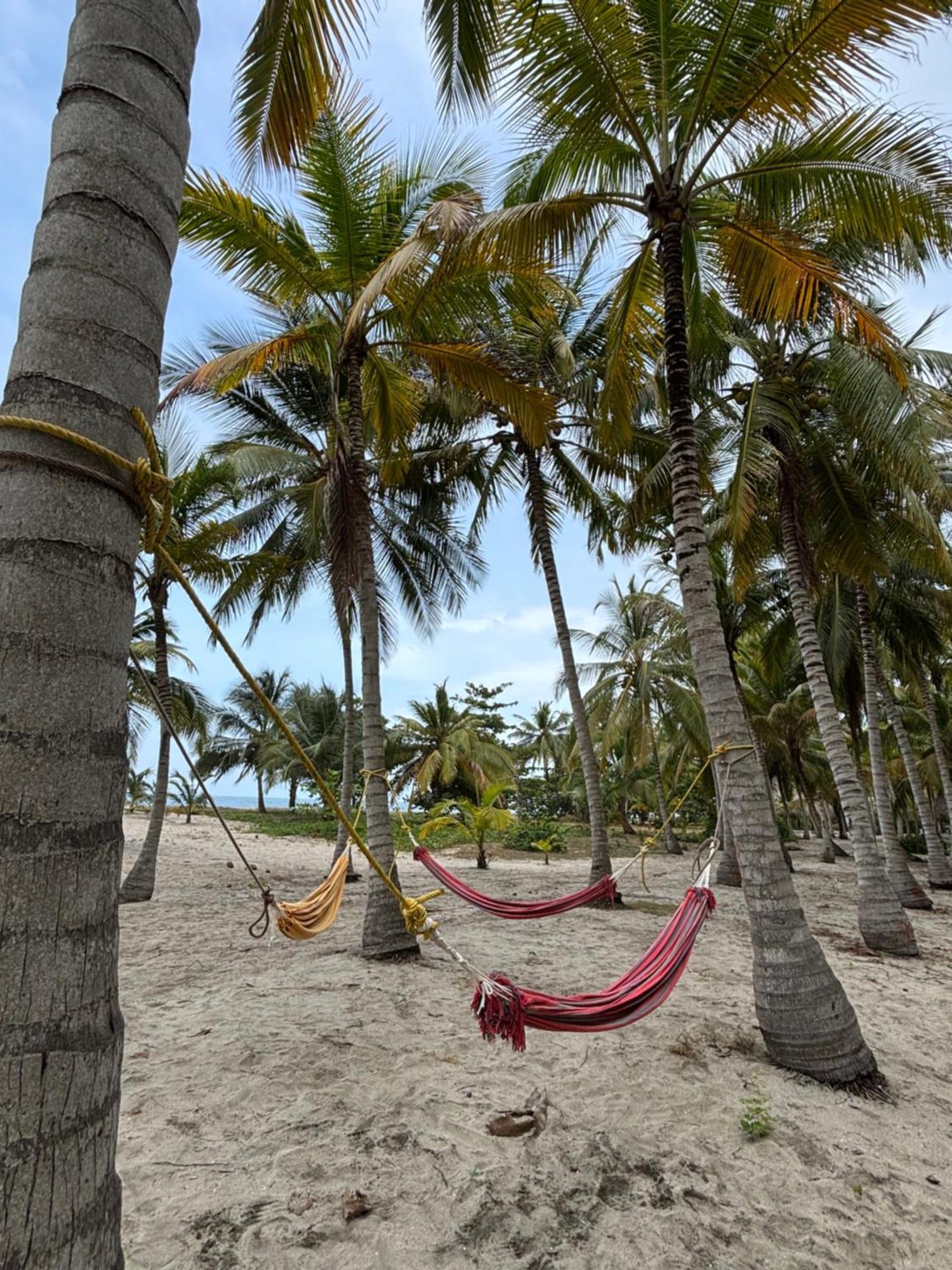 Hotel Playa Bonita Tayrona Буритака Екстериор снимка