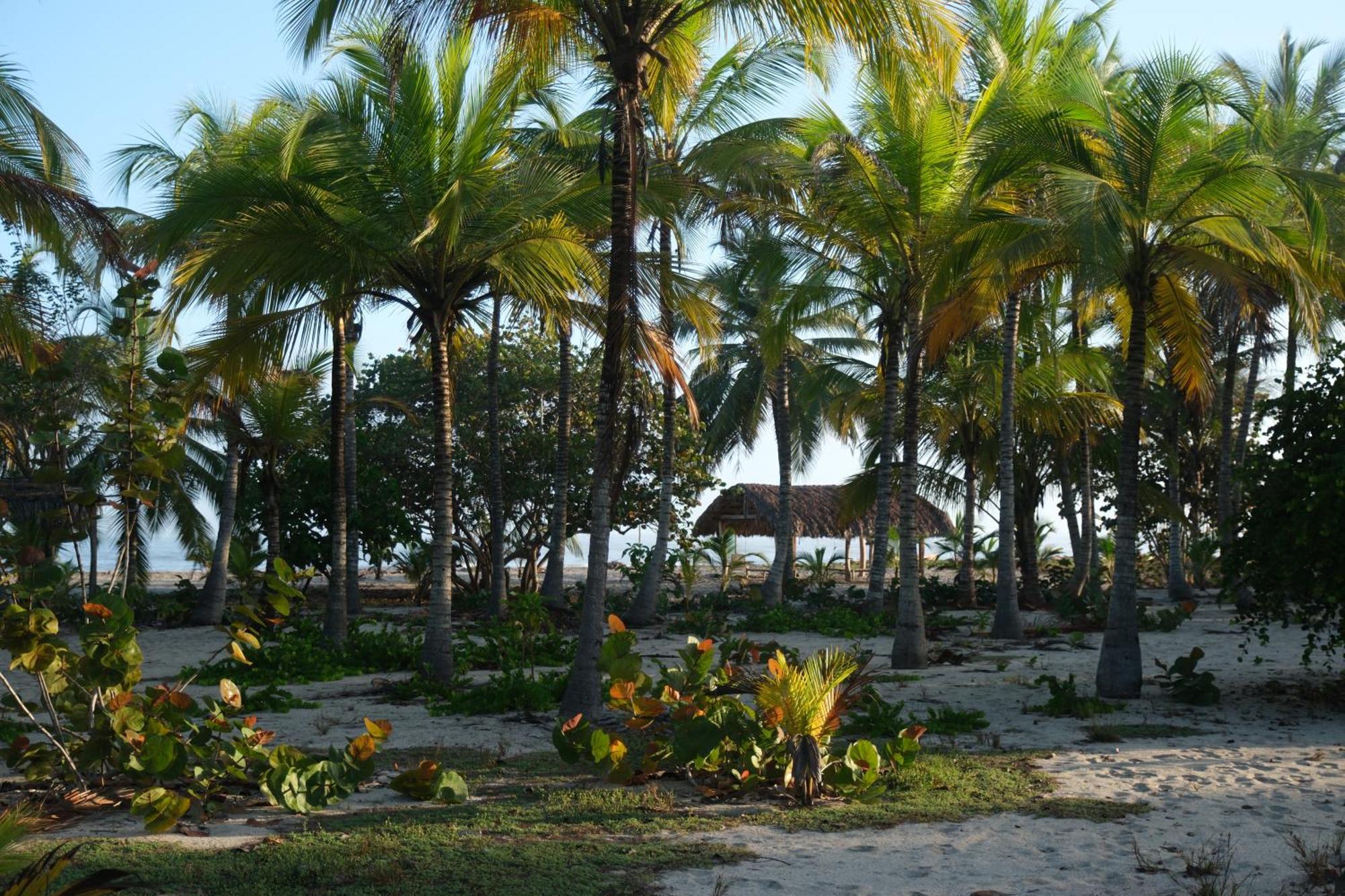 Hotel Playa Bonita Tayrona Буритака Екстериор снимка