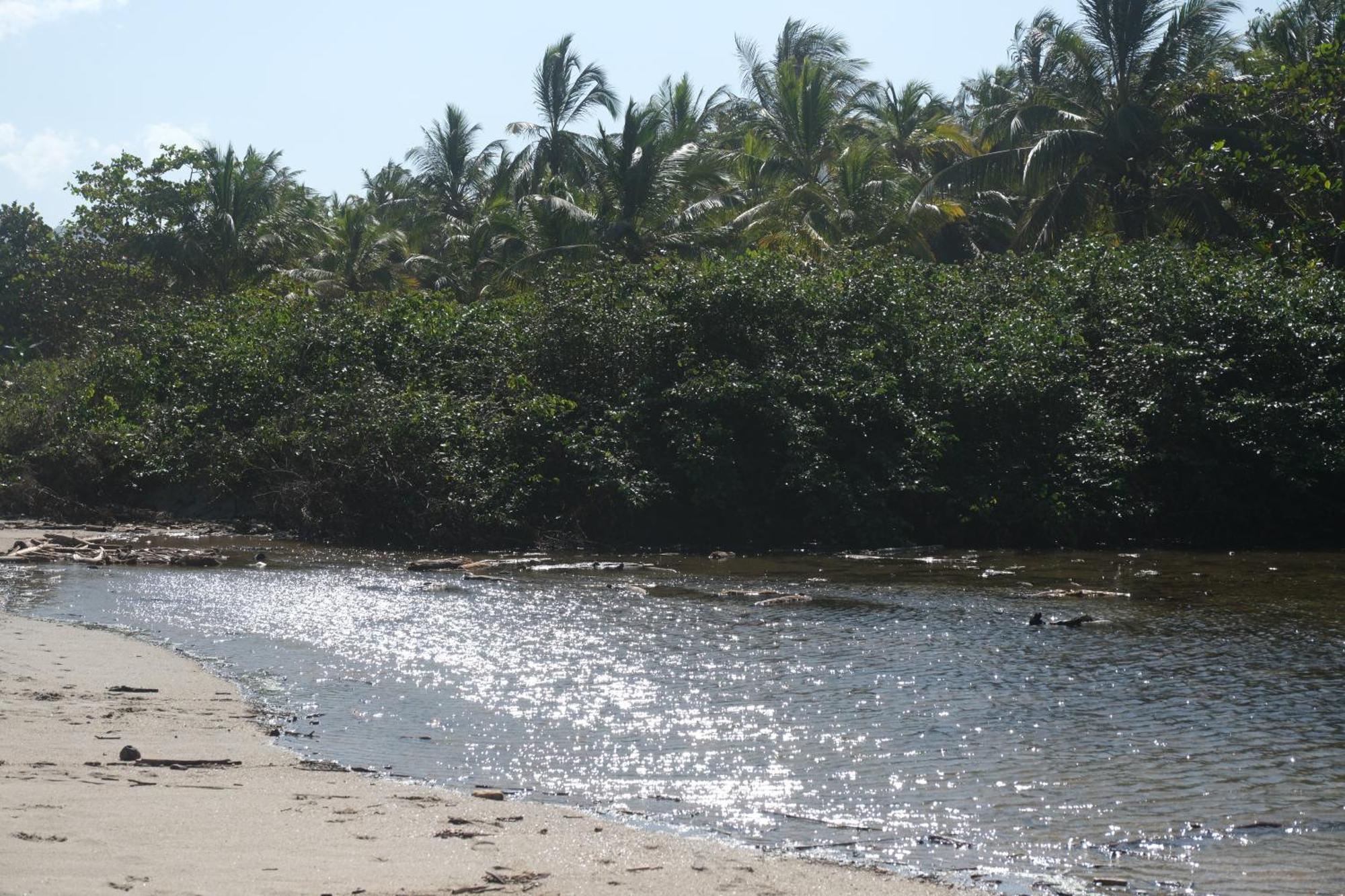 Hotel Playa Bonita Tayrona Буритака Екстериор снимка